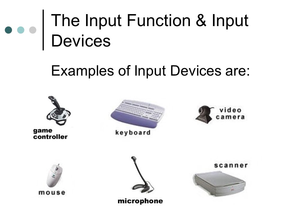 The Input Function & Input Devices Examples of Input Devices are: