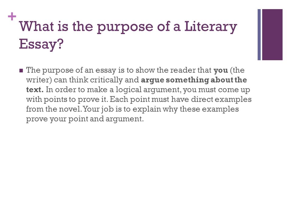 Thesis Statement For An Essay What Is The Purpose Of A Literary Essay Terrorism Essay In English also How To Write An Essay For High School The Paragraph Literary Essay Eng D What Is The Purpose Of A How To Write Essay Papers