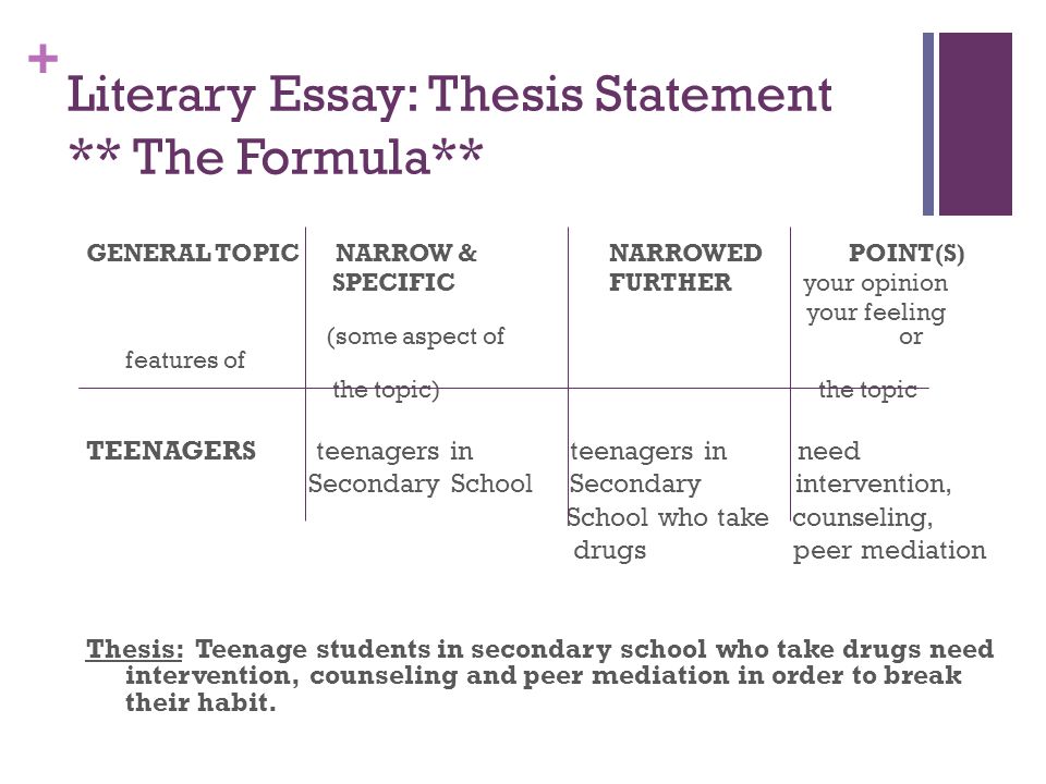 Essay Examples English Examples Of A Proposal Essay also Process Paper Essay The Paragraph Literary Essay Eng D What Is The Compare And Contrast High School And College Essay
