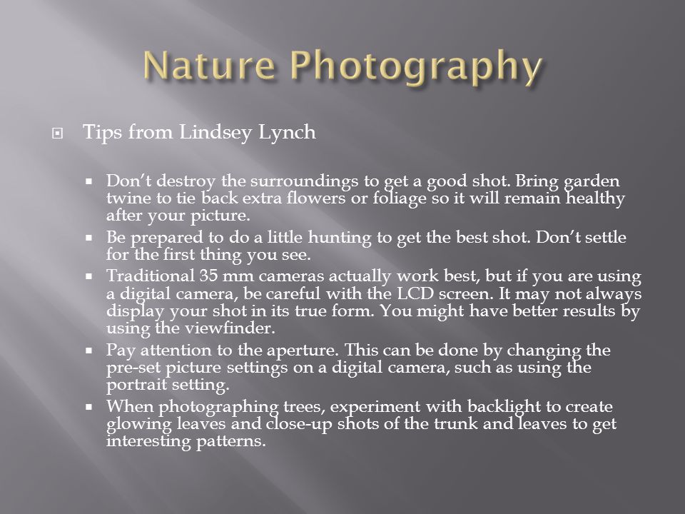  Tips from Lindsey Lynch  Don’t destroy the surroundings to get a good shot.