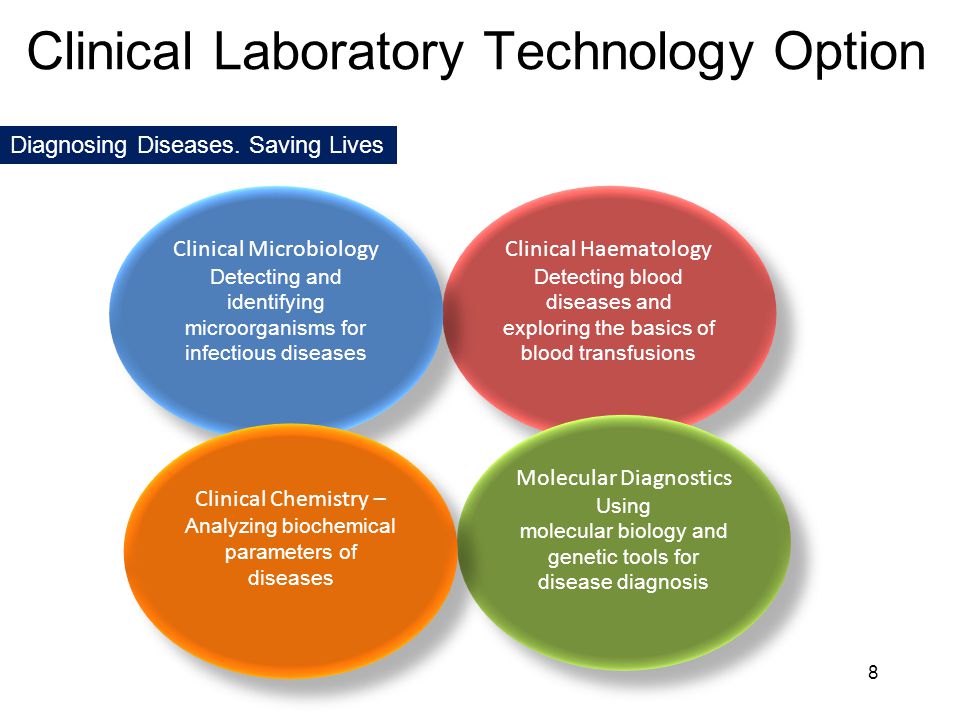 Clinical Haematology Detecting blood diseases and exploring the basics of blood transfusions Molecular Diagnostics Using molecular biology and genetic tools for disease diagnosis Molecular Diagnostics Using molecular biology and genetic tools for disease diagnosis Clinical Microbiology Detecting and identifying microorganisms for infectious diseases Clinical Laboratory Technology Clinical Laboratory Technology Option Diagnosing Diseases.