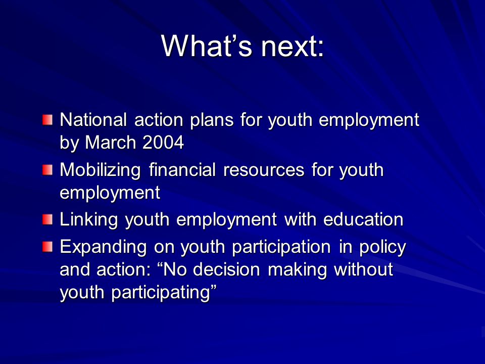 What’s next: National action plans for youth employment by March 2004 Mobilizing financial resources for youth employment Linking youth employment with education Expanding on youth participation in policy and action: No decision making without youth participating