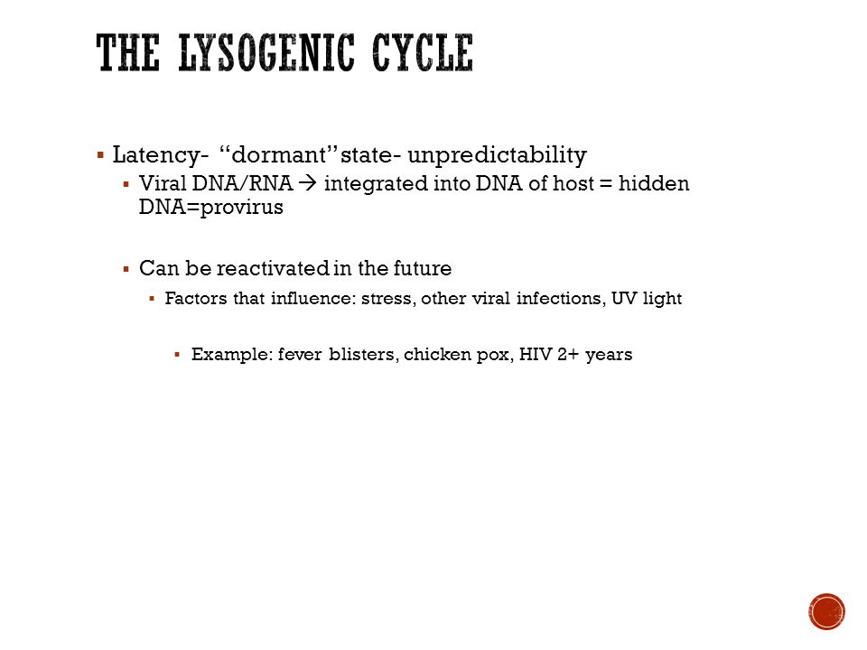  Latency- dormant state- unpredictability  Viral DNA/RNA  integrated into DNA of host = hidden DNA=provirus  Can be reactivated in the future  Factors that influence: stress, other viral infections, UV light  Example: fever blisters, chicken pox, HIV 2+ years