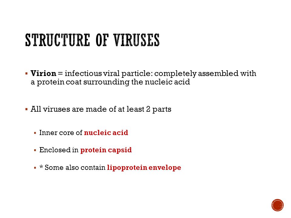  Virion = infectious viral particle: completely assembled with a protein coat surrounding the nucleic acid  All viruses are made of at least 2 parts  Inner core of nucleic acid  Enclosed in protein capsid  * Some also contain lipoprotein envelope