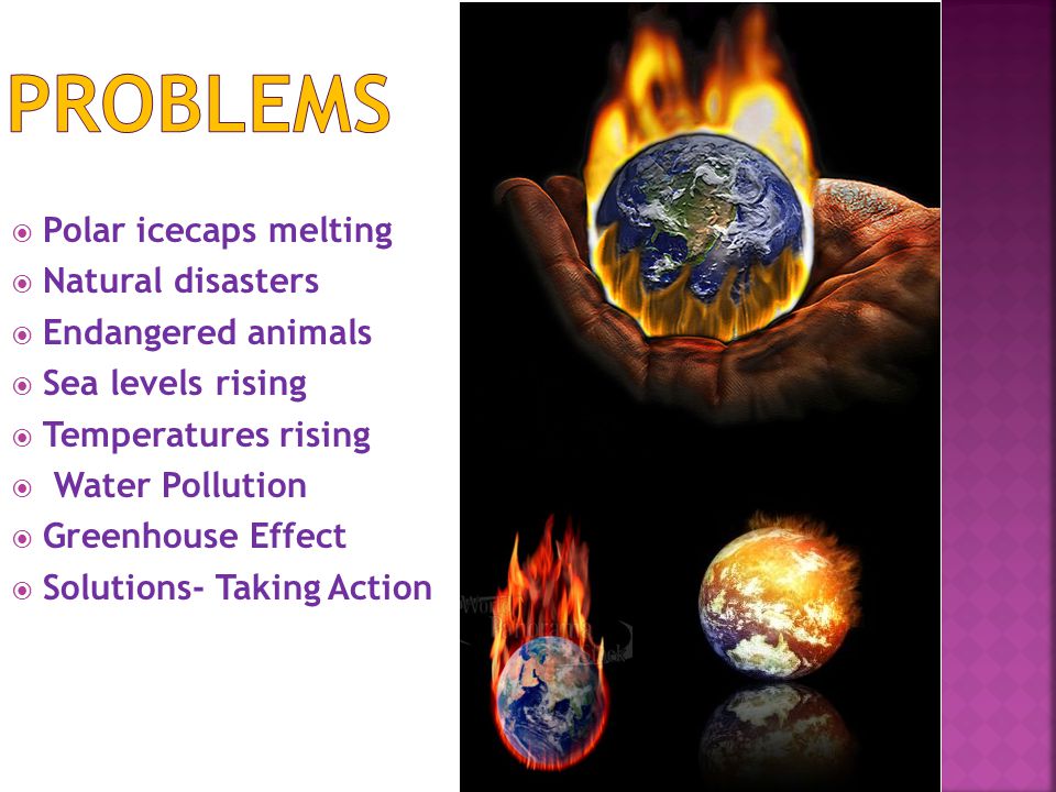  Polar icecaps melting  Natural disasters  Endangered animals  Sea levels rising  Temperatures rising  Water Pollution  Greenhouse Effect  Solutions- Taking Action