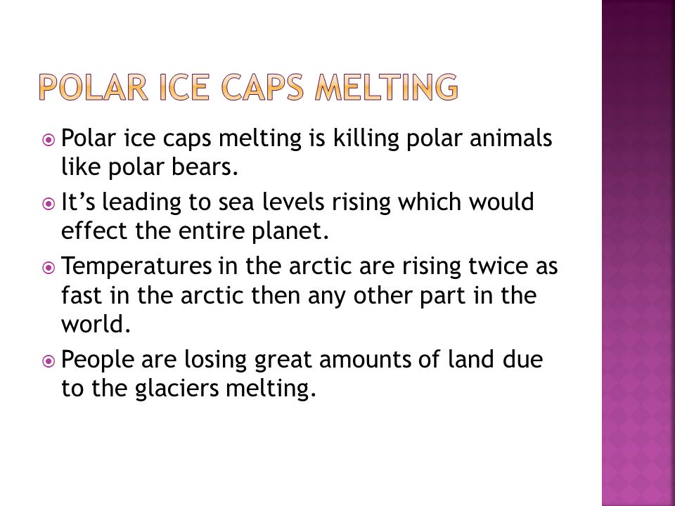  Polar ice caps melting is killing polar animals like polar bears.
