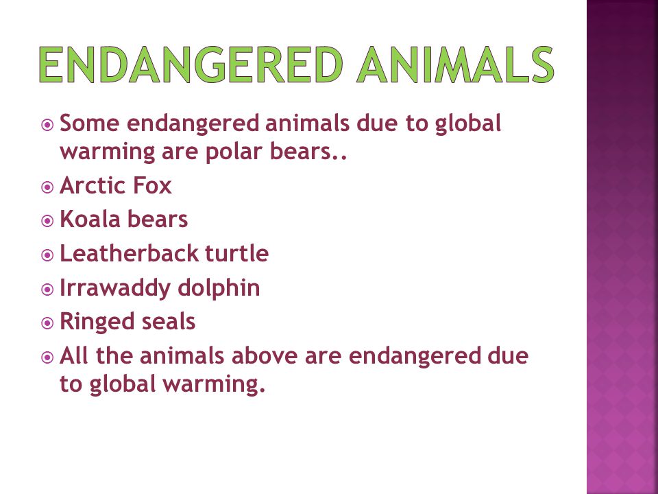  Some endangered animals due to global warming are polar bears..