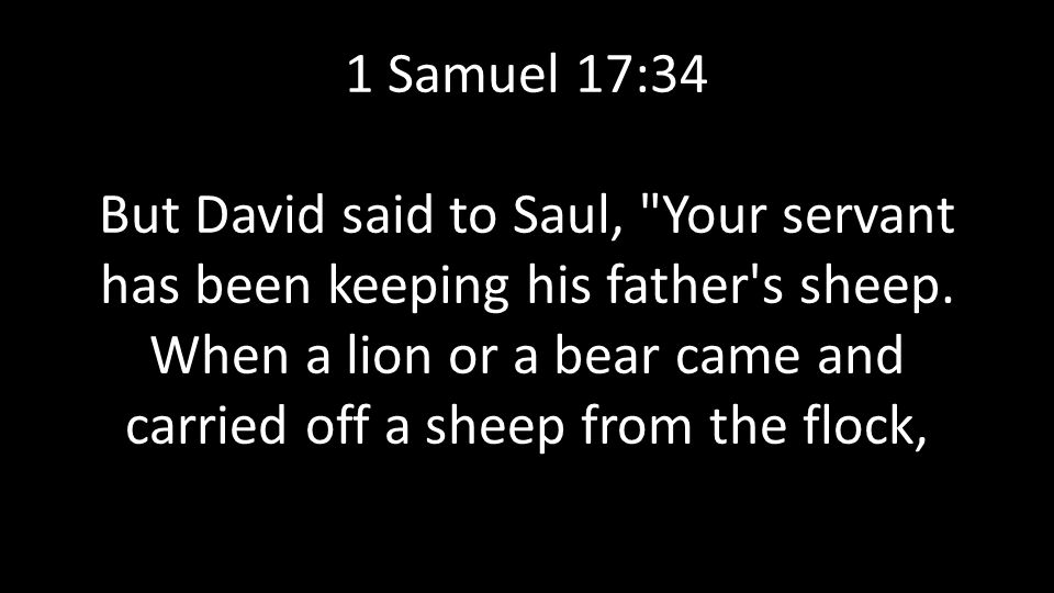 1 Samuel 17:34 But David said to Saul, Your servant has been keeping his father s sheep.