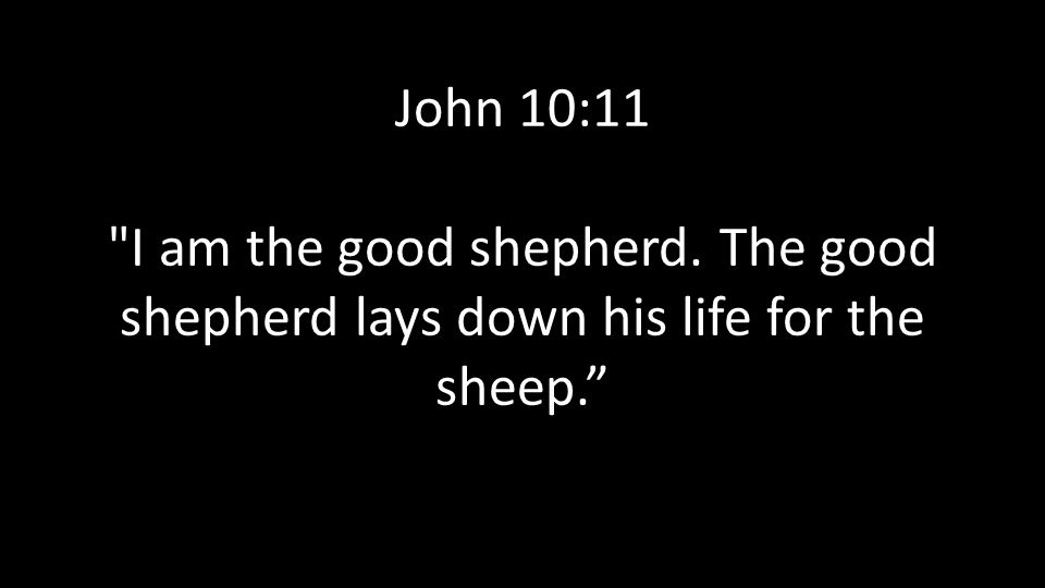 John 10:11 I am the good shepherd. The good shepherd lays down his life for the sheep.