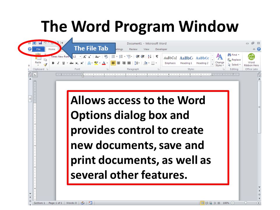 The Word Program Window The File Tab Allows access to the Word Options dialog box and provides control to create new documents, save and print documents, as well as several other features.