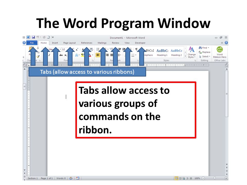 The Word Program Window Tabs (allow access to various ribbons) Tabs allow access to various groups of commands on the ribbon.