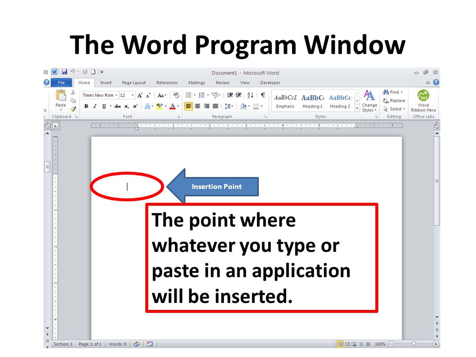 The Word Program Window Insertion Point The point where whatever you type or paste in an application will be inserted.