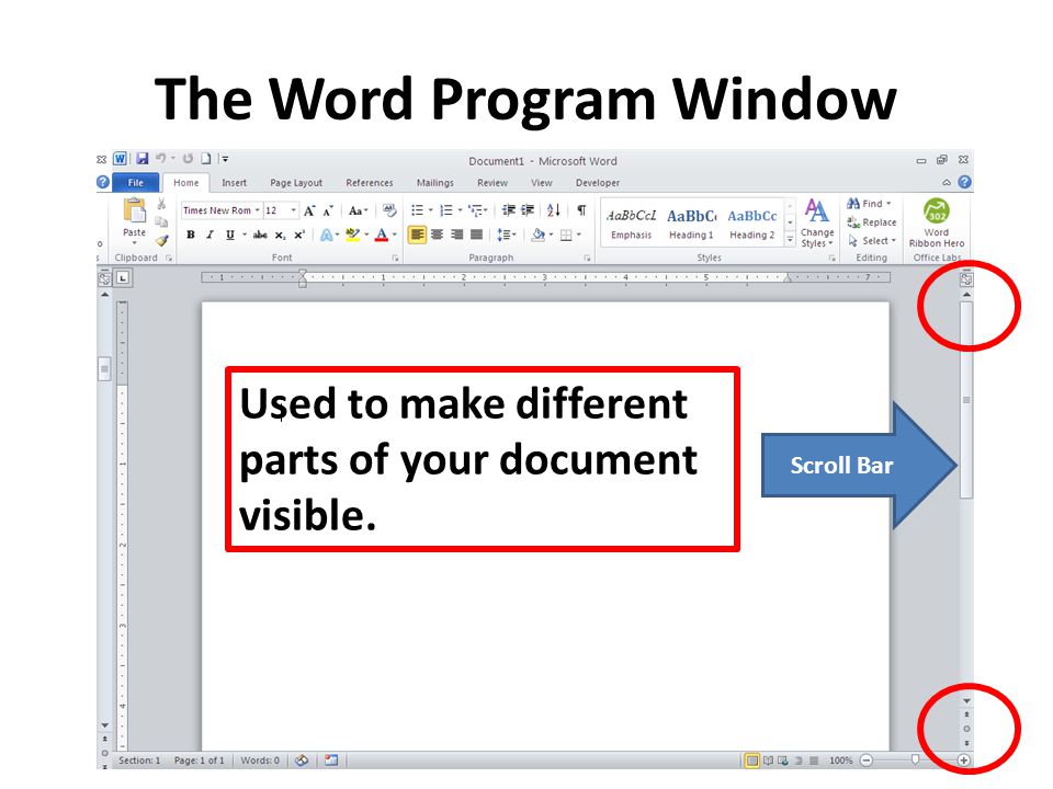 The Word Program Window Scroll Bar Used to make different parts of your document visible.