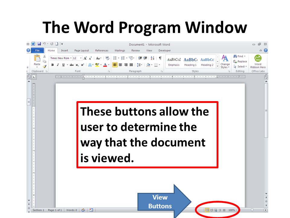 The Word Program Window View Buttons These buttons allow the user to determine the way that the document is viewed.