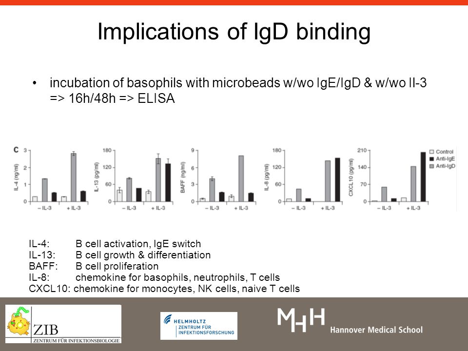 Implications of IgD binding incubation of basophils with microbeads w/wo IgE/IgD & w/wo Il-3 => 16h/48h => ELISA IL-4:B cell activation, IgE switch IL-13:B cell growth & differentiation BAFF:B cell proliferation IL-8: chemokine for basophils, neutrophils, T cells CXCL10: chemokine for monocytes, NK cells, naive T cells