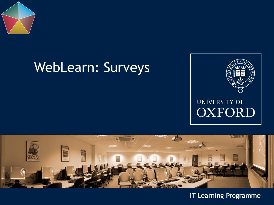 IT Learning Programme WebLearn: Surveys