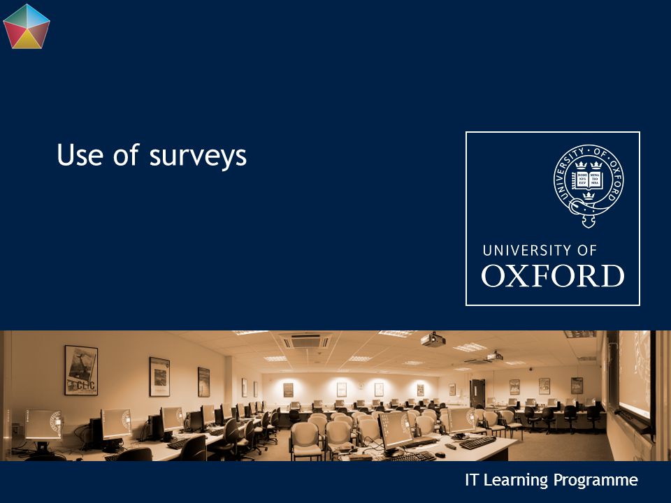 IT Learning Programme Use of surveys