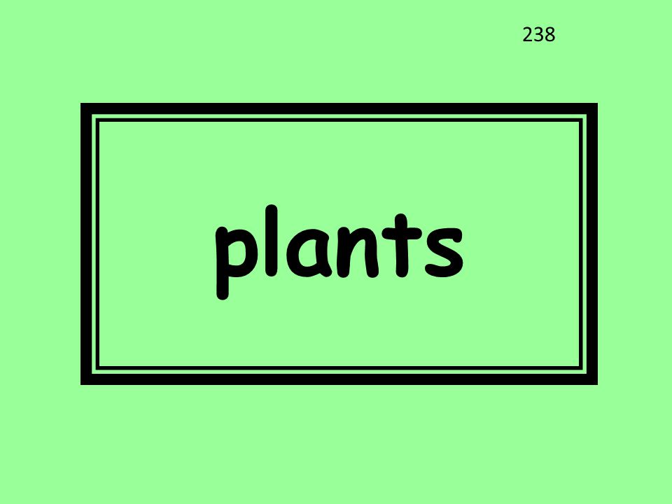 plants 238