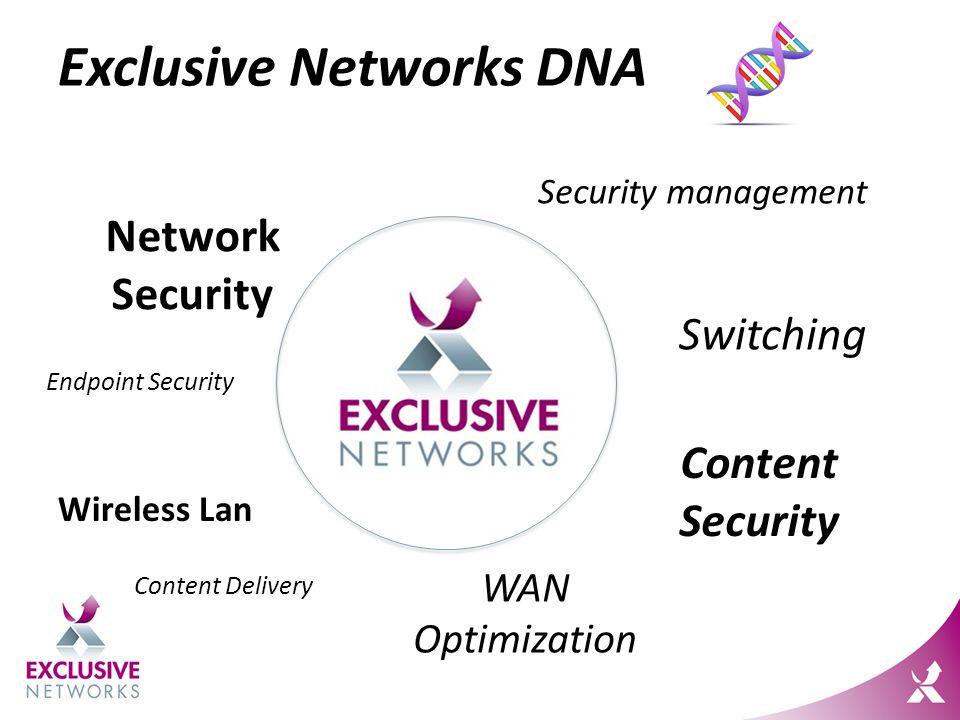 Exclusive Networks DNA Security management Content Delivery WAN Optimization Switching Endpoint Security Network Security Content Security Wireless Lan