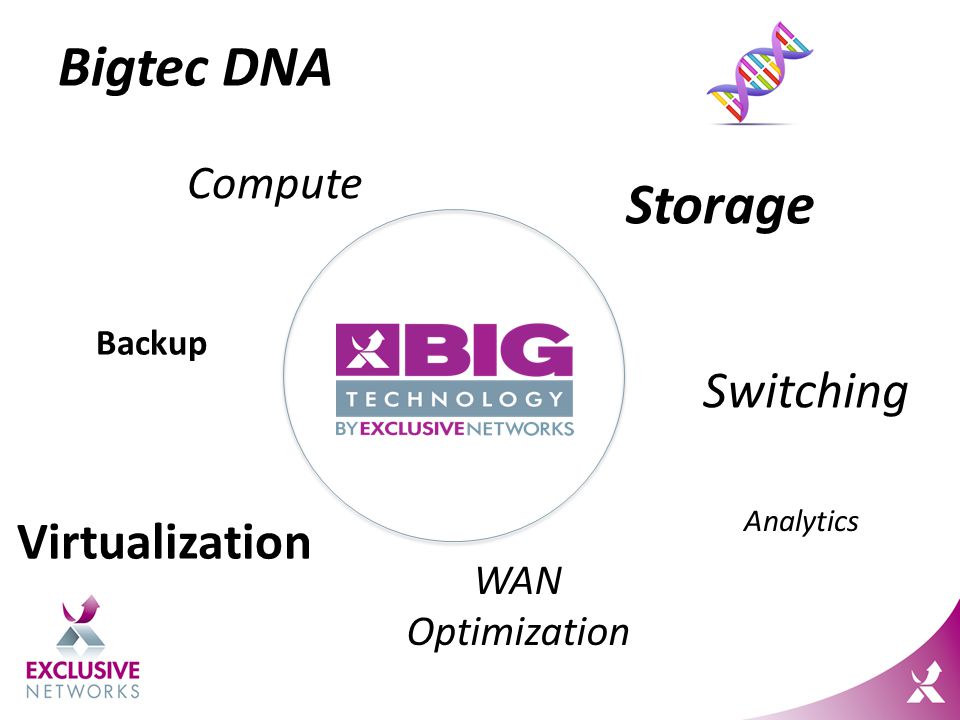 Bigtec DNA Backup Storage WAN Optimization Compute Switching Analytics Virtualization