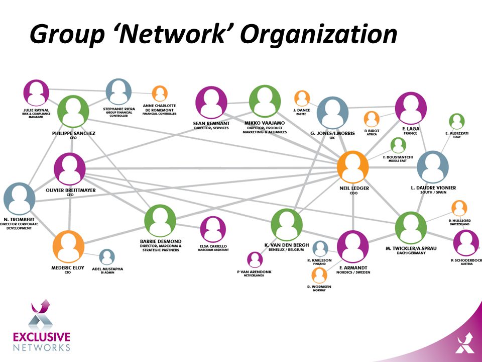 Group ‘Network’ Organization