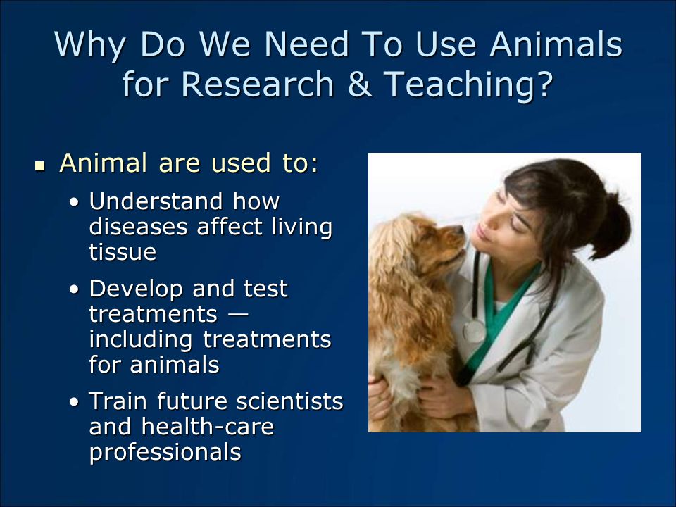 Using Animals in Research and Education Copyright . - ppt  download