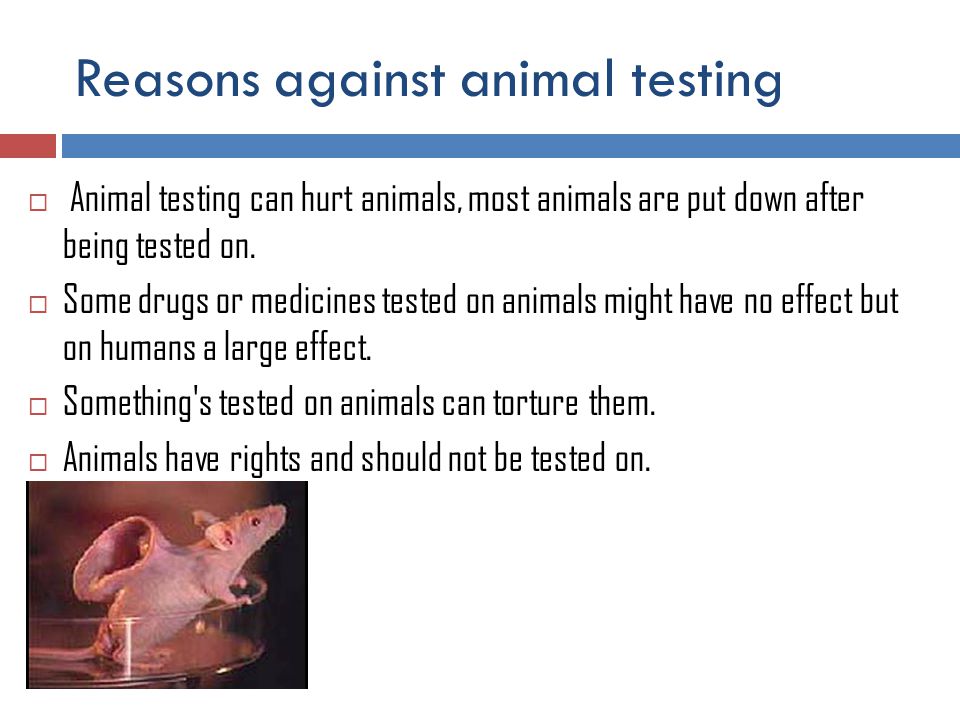 ANIMAL TESTING FOR OR AGAINST? By Joel McShane. What is animal testing? Animal  testing is when scientist experiment on animals normally to try and find. -  ppt download