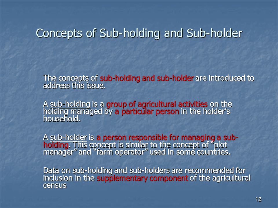 12 Concepts of Sub-holding and Sub-holder The concepts of sub-holding and sub-holder are introduced to address this issue.