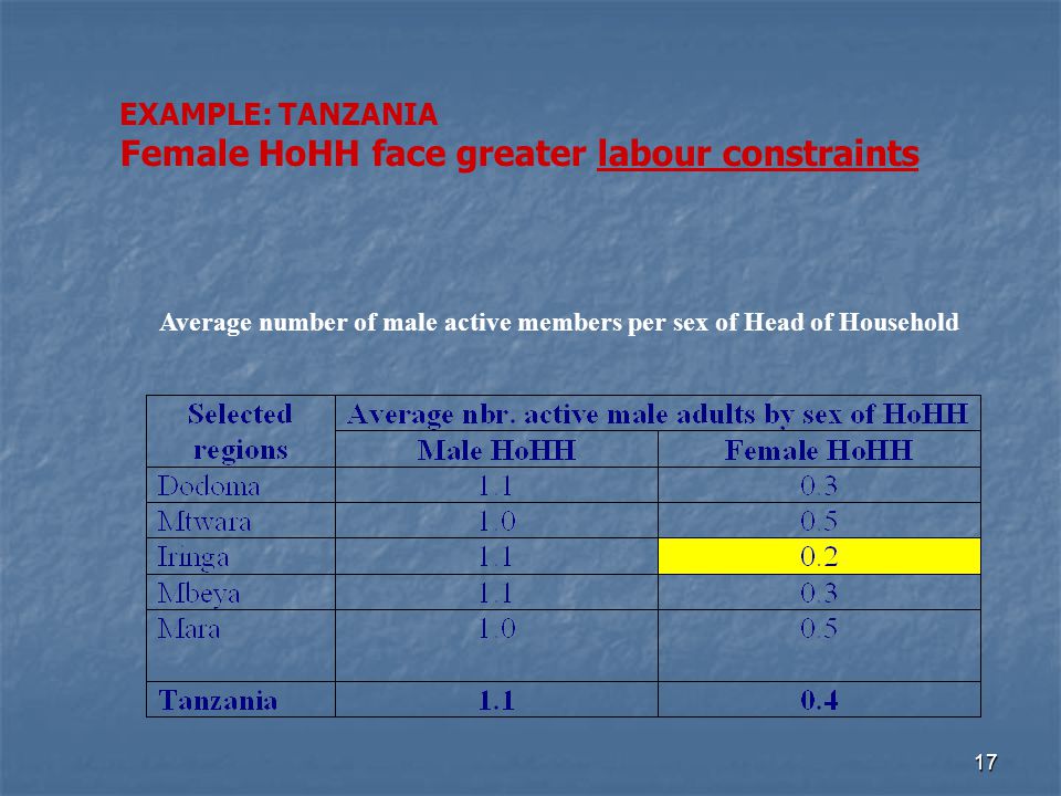 17 Average number of male active members per sex of Head of Household EXAMPLE: TANZANIA Female HoHH face greater labour constraints