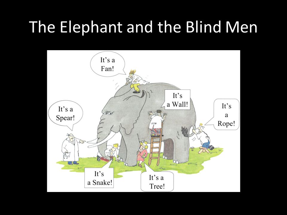 The Elephant and the Blind Men