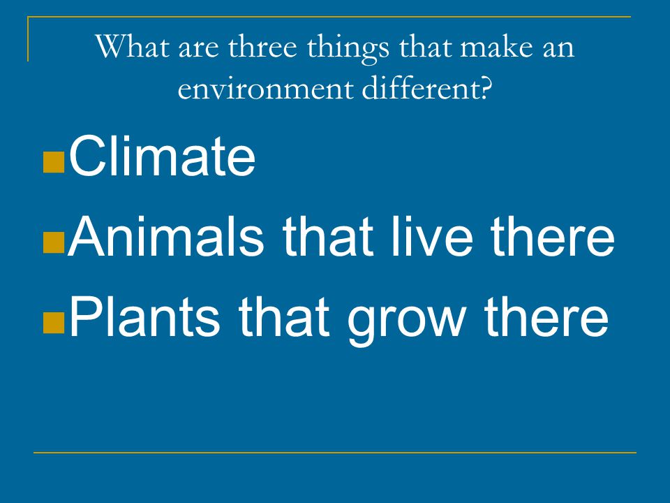 What are three things that make an environment different.