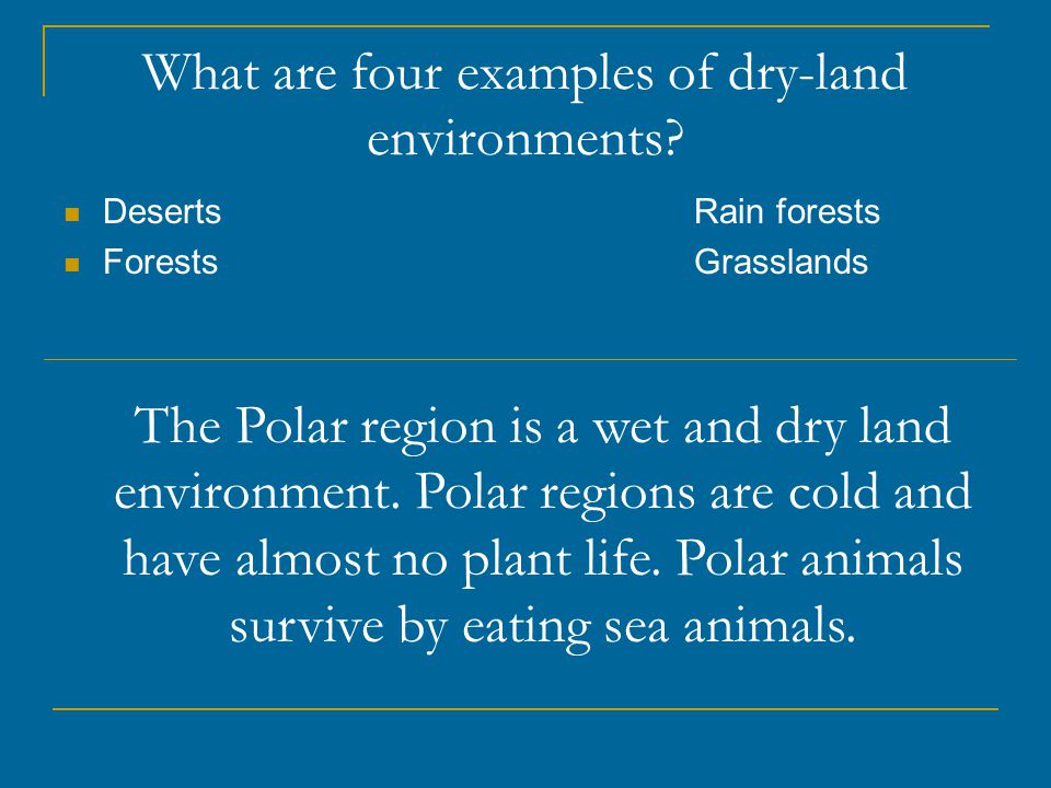 What are four examples of dry-land environments.