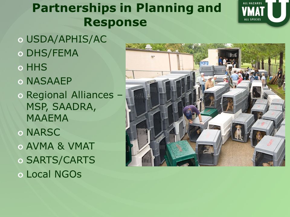 Partnerships in Planning and Response USDA/APHIS/AC DHS/FEMA HHS NASAAEP Regional Alliances – MSP, SAADRA, MAAEMA NARSC AVMA & VMAT SARTS/CARTS Local NGOs