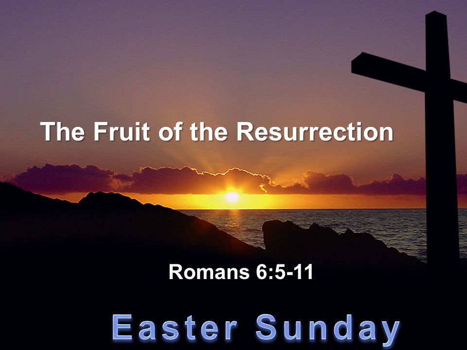 The Fruit of the Resurrection Romans 6:5-11