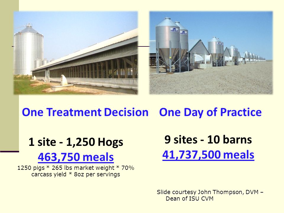 One Treatment DecisionOne Day of Practice 1 site - 1,250 Hogs 463,750 meals 1250 pigs * 265 lbs market weight * 70% carcass yield * 8oz per servings 9 sites - 10 barns 41,737,500 meals Slide courtesy John Thompson, DVM – Dean of ISU CVM