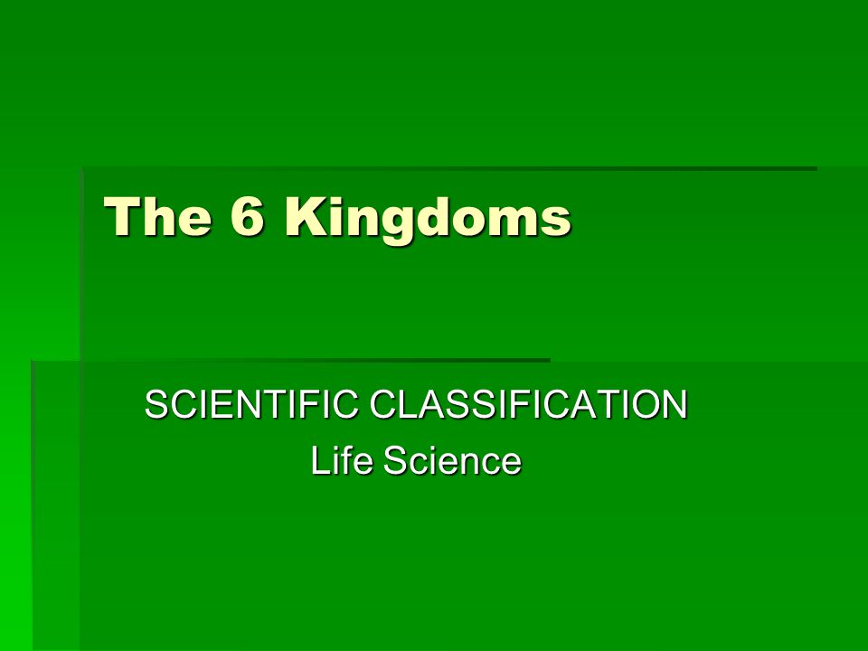 Kingdoms Scientific Cl Ification Life Science Kingdoms Scientific Cl Ification Life Science