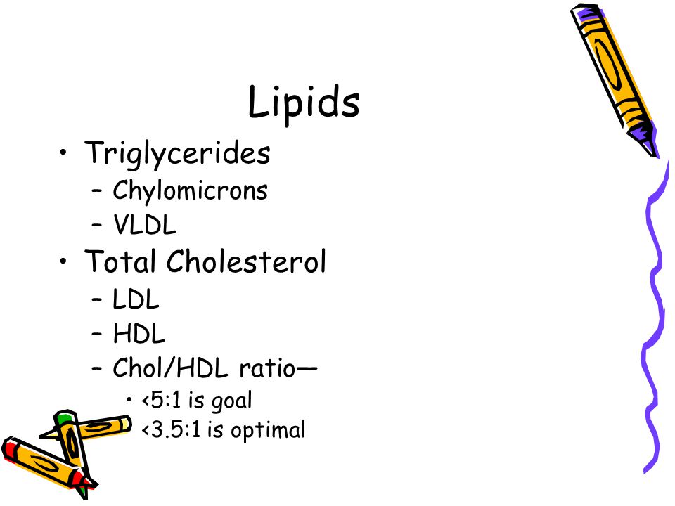 Lipids Triglycerides –Chylomicrons –VLDL Total Cholesterol –LDL –HDL –Chol/HDL ratio— <5:1 is goal <3.5:1 is optimal