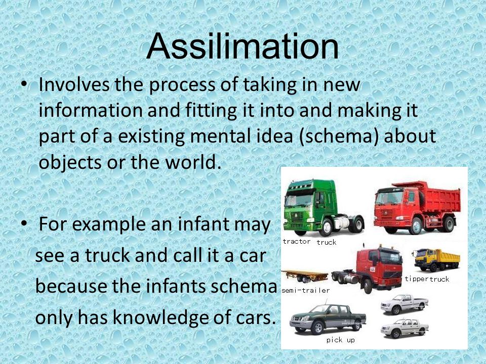 Assilimation Involves the process of taking in new information and fitting it into and making it part of a existing mental idea (schema) about objects or the world.
