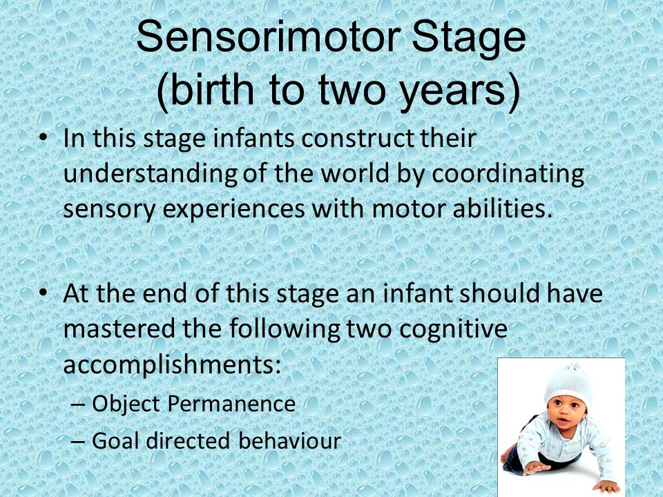 Sensorimotor Stage (birth to two years) In this stage infants construct their understanding of the world by coordinating sensory experiences with motor abilities.