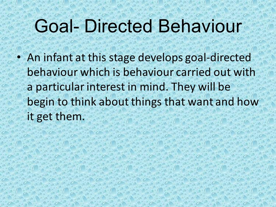 Goal- Directed Behaviour An infant at this stage develops goal-directed behaviour which is behaviour carried out with a particular interest in mind.