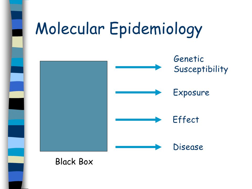 Molecular Epidemiology Black Box Exposure Genetic Susceptibility Effect Disease