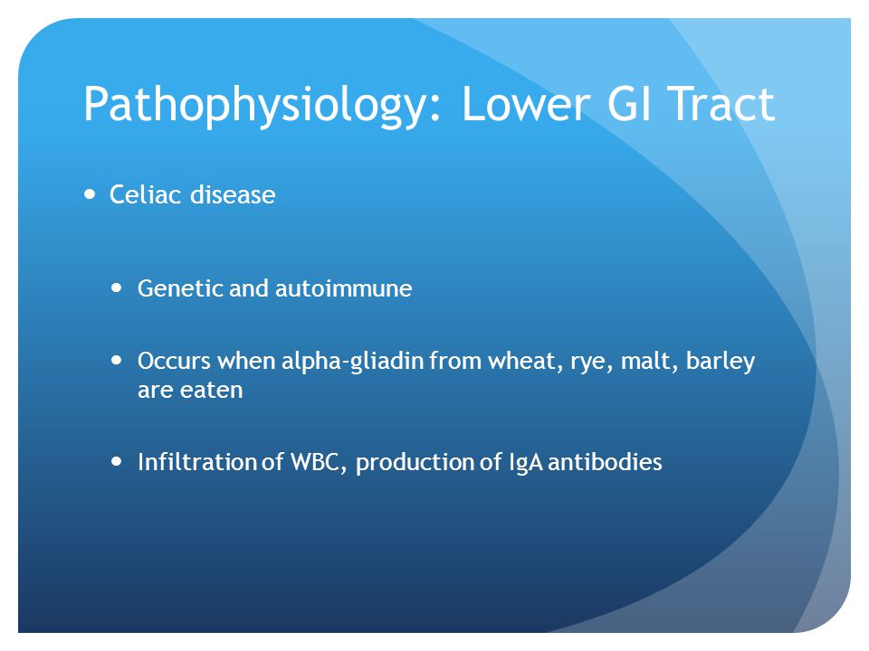 Pathophysiology: Lower GI Tract Celiac disease Genetic and autoimmune Occurs when alpha-gliadin from wheat, rye, malt, barley are eaten Infiltration of WBC, production of IgA antibodies