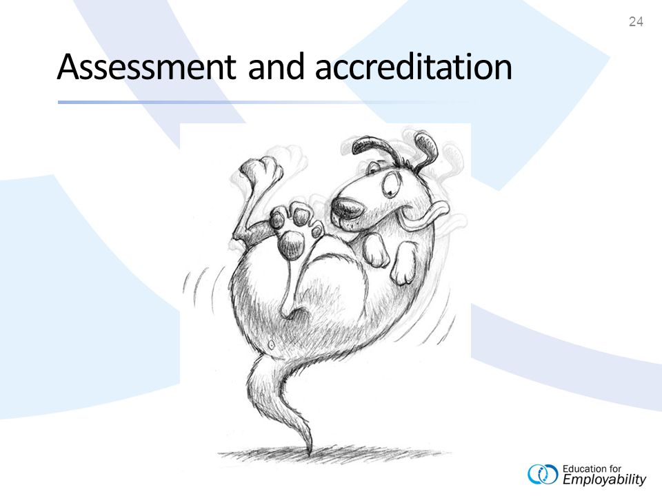 24 Assessment and accreditation