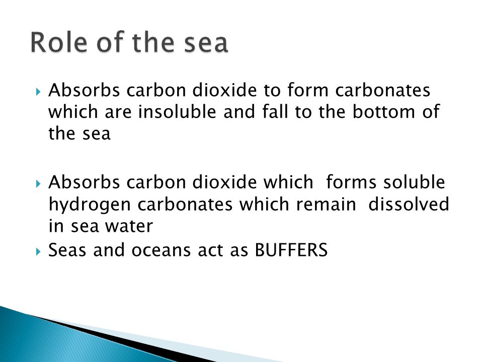  Absorbs carbon dioxide to form carbonates which are insoluble and fall to the bottom of the sea  Absorbs carbon dioxide which forms soluble hydrogen carbonates which remain dissolved in sea water  Seas and oceans act as BUFFERS