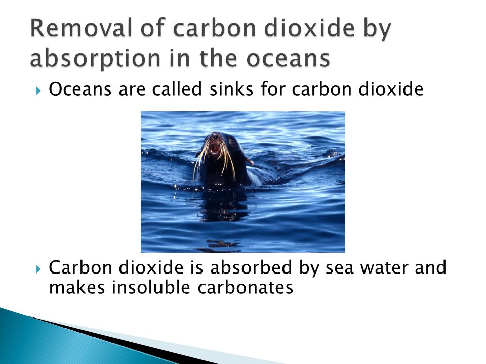  Oceans are called sinks for carbon dioxide  Carbon dioxide is absorbed by sea water and makes insoluble carbonates
