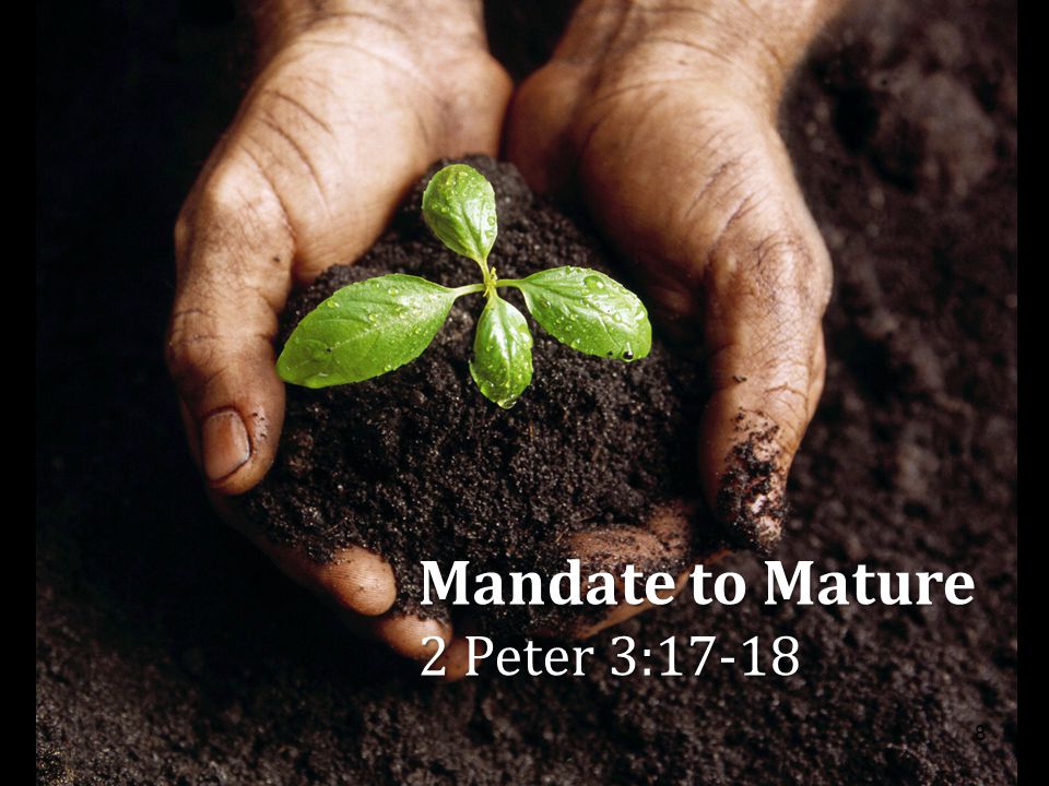 Mandate to Mature 2 Peter 3: