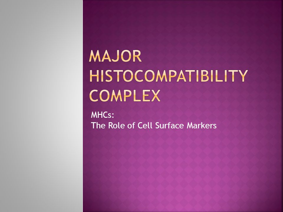 MHCs: The Role of Cell Surface Markers