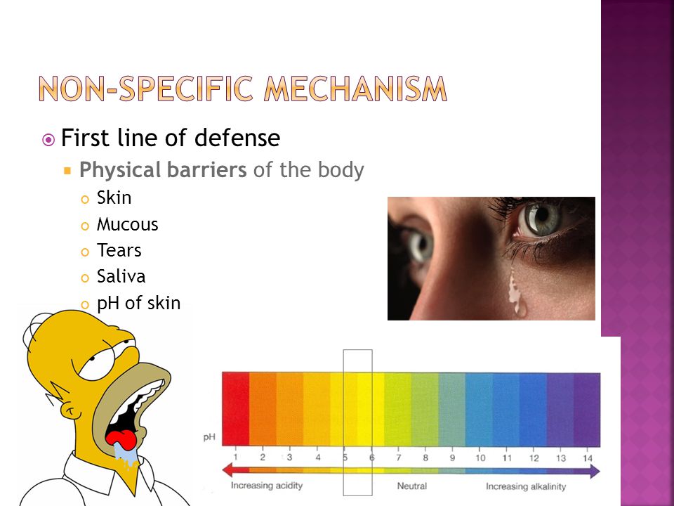  First line of defense  Physical barriers of the body Skin Mucous Tears Saliva pH of skin