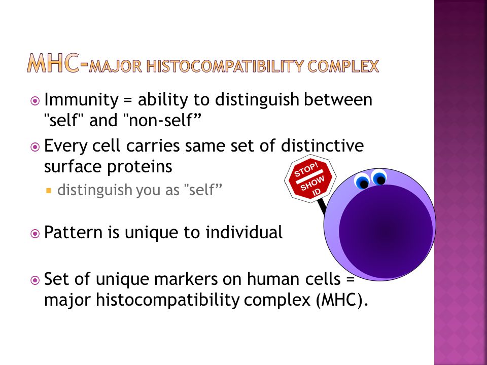  Immunity = ability to distinguish between self and non-self  Every cell carries same set of distinctive surface proteins  distinguish you as self  Pattern is unique to individual  Set of unique markers on human cells = major histocompatibility complex (MHC).