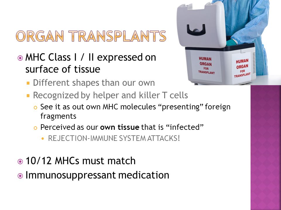  MHC Class I / II expressed on surface of tissue  Different shapes than our own  Recognized by helper and killer T cells See it as out own MHC molecules presenting foreign fragments Perceived as our own tissue that is infected REJECTION-IMMUNE SYSTEM ATTACKS.